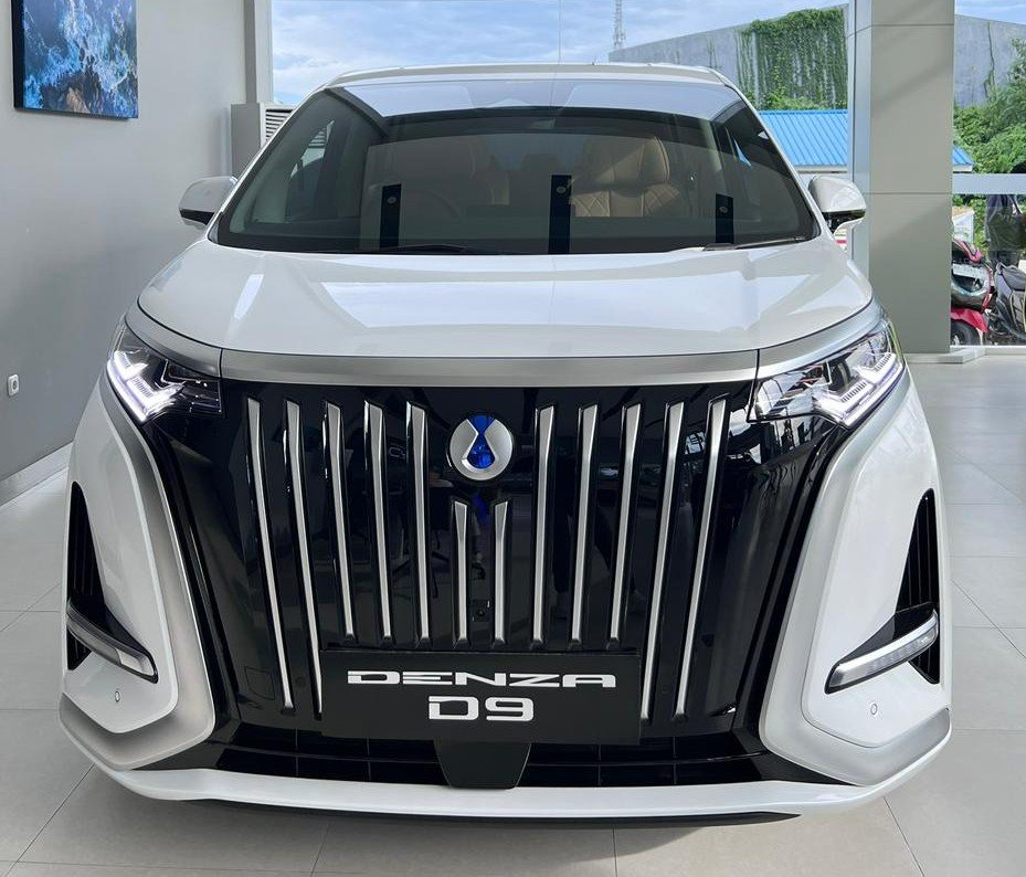 Denza D9